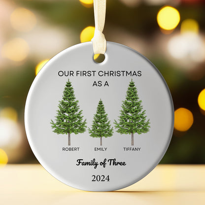 Family of 3 Christmas Tree Ornament, Baby&#39;s First Christmas Keepsake, Personalized Family of Three Christmas Ornament, New Baby Ornament